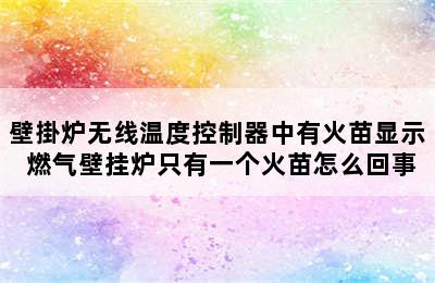 壁掛炉无线温度控制器中有火苗显示 燃气壁挂炉只有一个火苗怎么回事